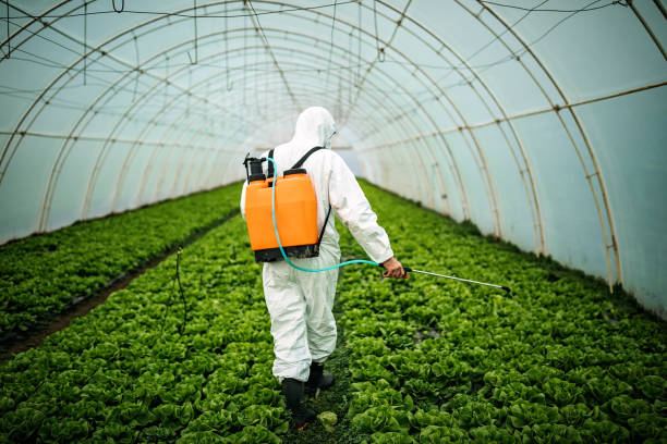 South Blooming Grove, NY Pest Control Company