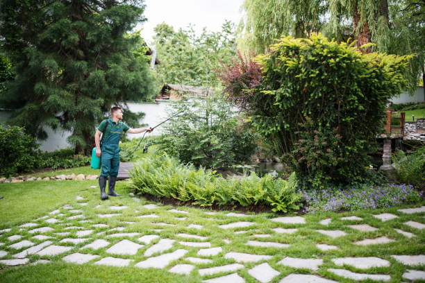 Trusted South Blooming Grove, NY Pest Control Experts