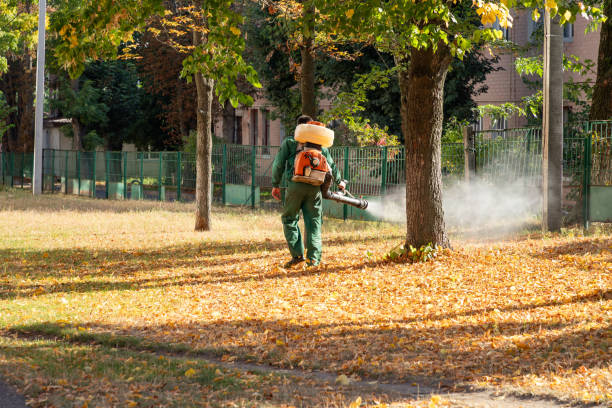 Best Affordable Pest Control Services  in South Blooming Grove, NY