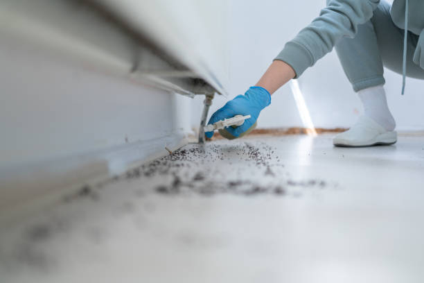 Best Commercial Pest Control Services  in South Blooming Grove, NY